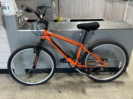 Nishiki Youth